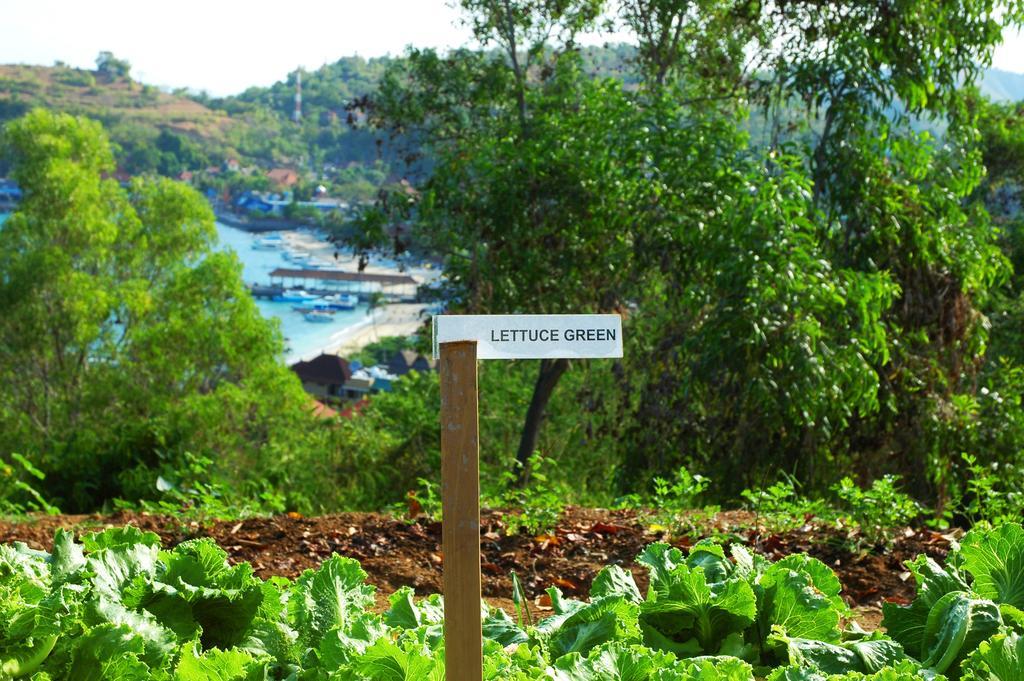 Bloo Lagoon Village Padangbai (Bali) Exterior foto